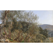 Janus LaCour<br><i>Olive trees near Tivoli</i>