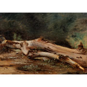 Anton Sminck Pitloo<br><i>Study of a fallen dead tree</i>