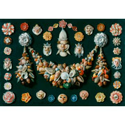Jan van Kessel the Elder<br><i>Festoon, masks and rosettes<br>made of shells</i>