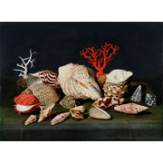 Jacques Linard<br><i>Still life with shells and coral</i>