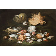 Paolo Porpora<br><i>Still life with shells</i>