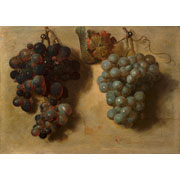 Nicolas de Largillière<br><i>Two bunches of grapes</i>