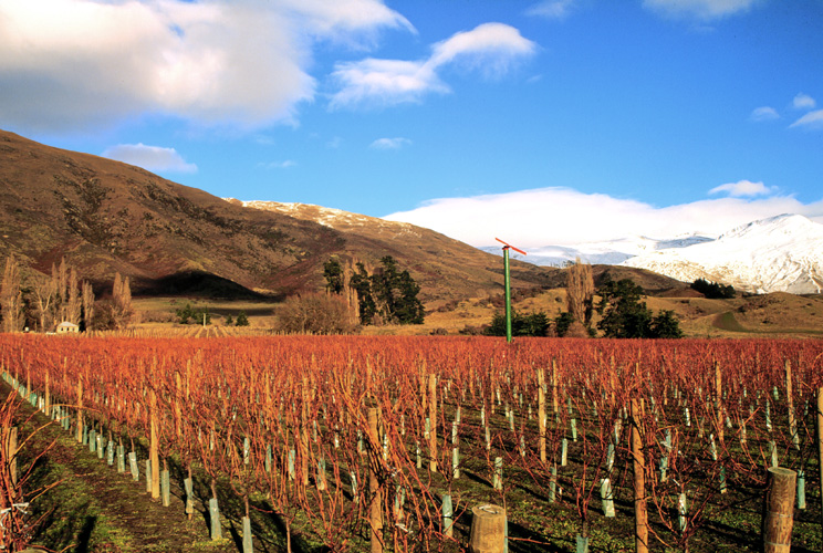 Sam-Neill_first-house - Новая Зеландия | Блог о вине