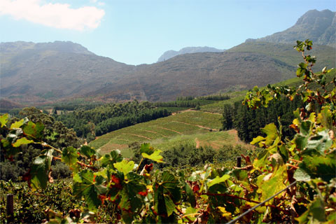 Looking-down-into-the-Stormhoek-valley