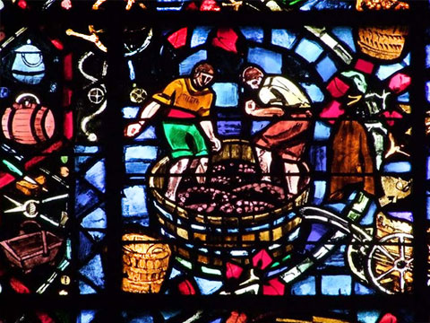 Вино, виноделы, виноделие на витражах. Реймский собор, Шампань, Франция